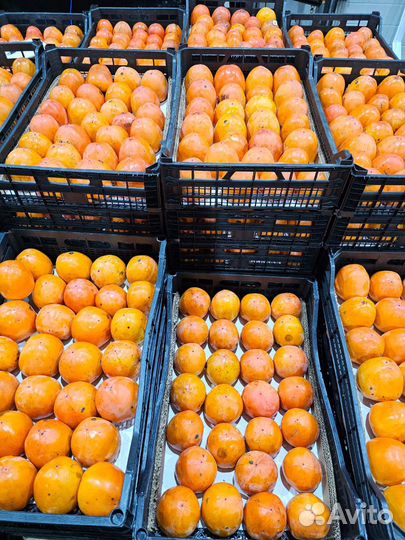 Хурма свежая Азербайджан