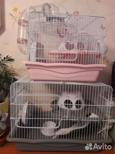 Продам клетки для хомячка,крыс/хомячки/хомячок