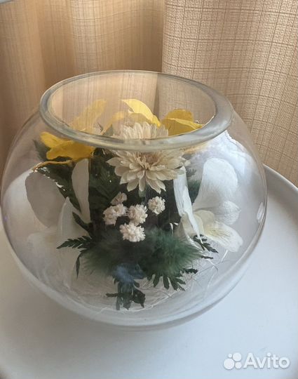 Стабилизированные цветы в стекле