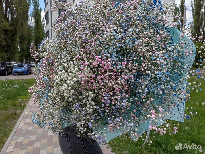 Гипсофила Букеты из гипсофил Доставка