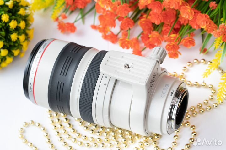 Canon EF 100-400 mm f/4.5-5.6L IS USM. Обмен