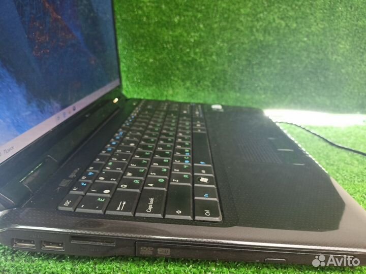 Ноутбук asus бюджетный для учебы