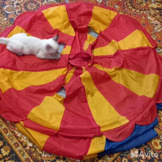 Детская палатка (для дома, на природу, на пляж)