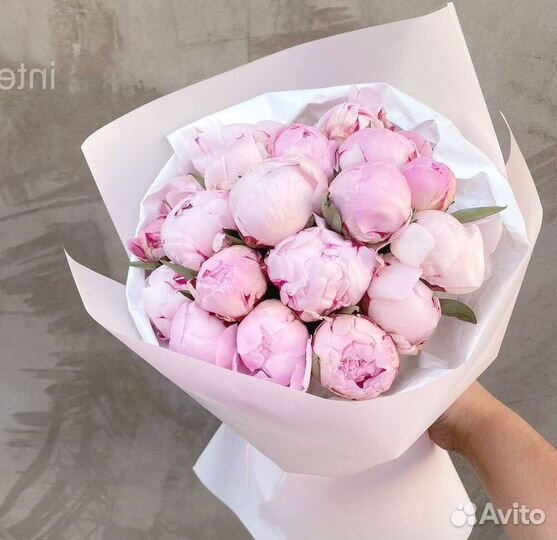 Пионы Цветы