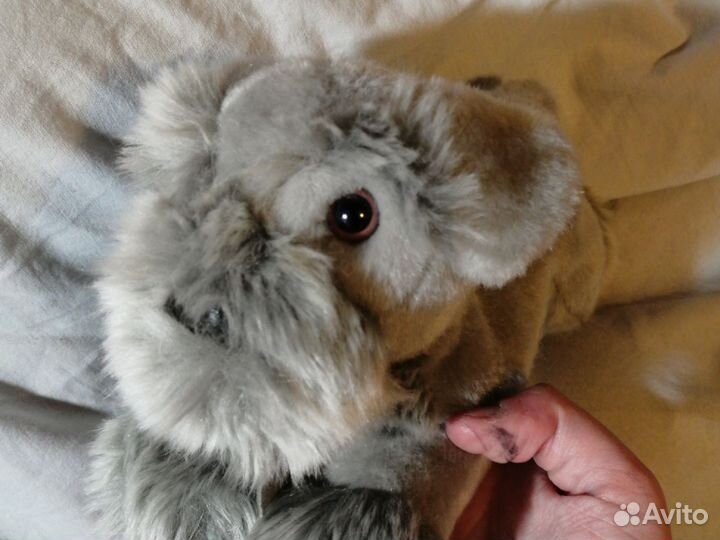 Коллекция собак