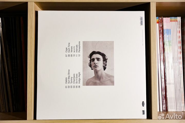 Tamino - Amir (2LP)