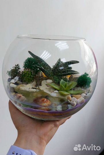 Флорариум с суккулентами 