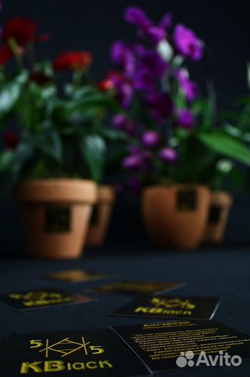 Спатифиллум. Антуриум. Орхидея