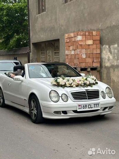 Прокат авто на свадьбу и суточная аренда