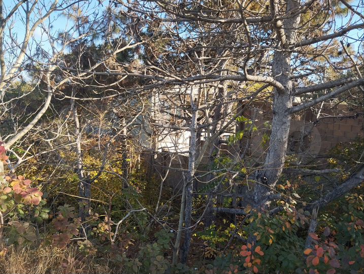 Участок 3 сот. (ИЖС)