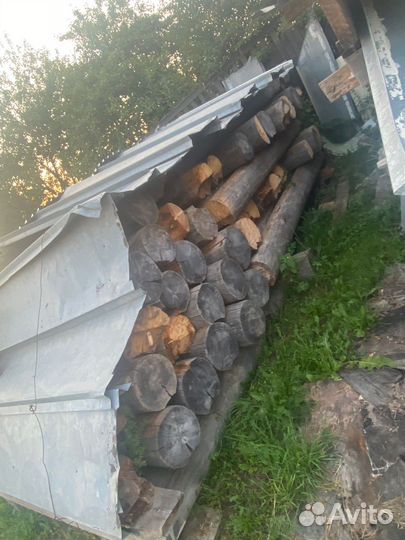 Бревно сосна