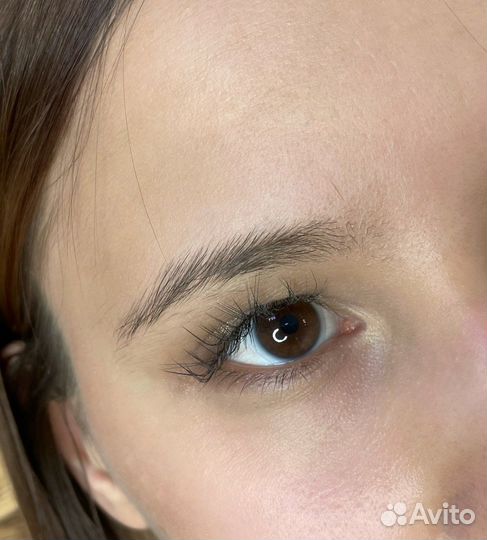 Мастер бровист