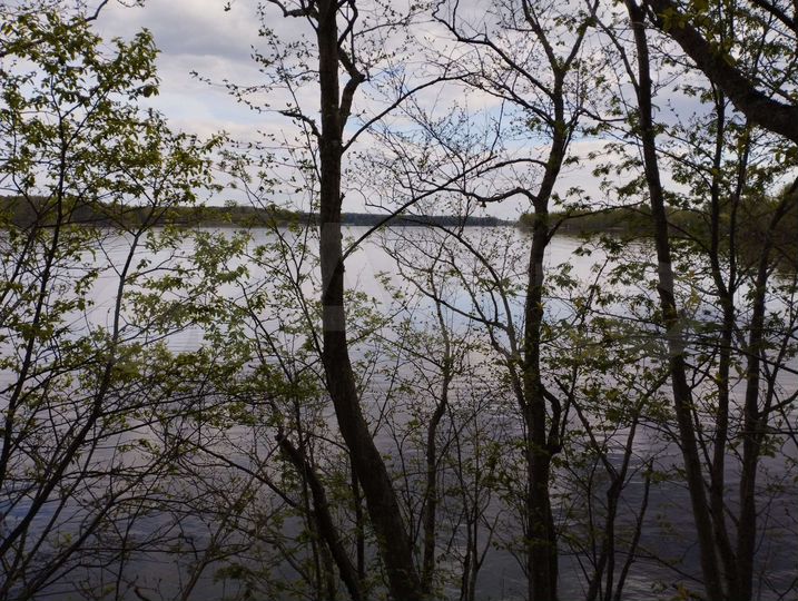 Участок 4 сот. (ИЖС)