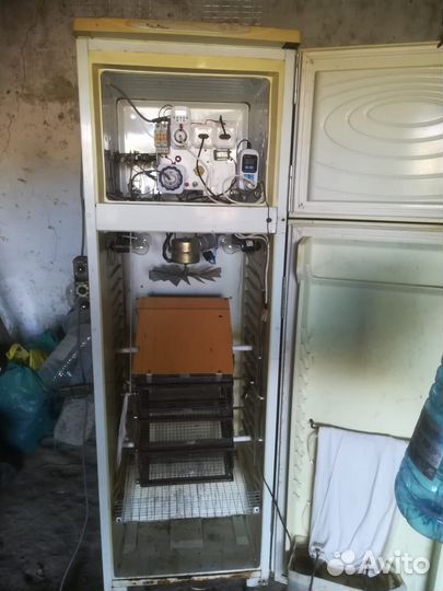 Инкубатор для яиц автоматический