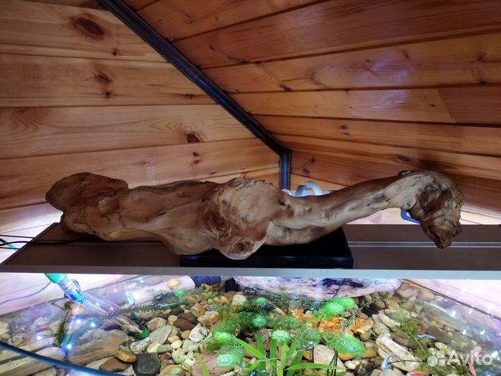 Коряга в аквариум