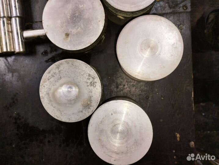 Поршни газ 53