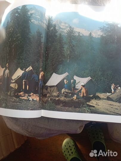 Книга лесопарки СССР