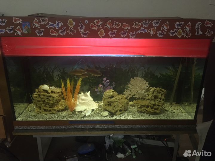 Аквариум с рыбками