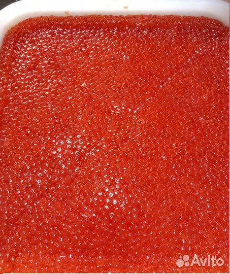 Красная икра