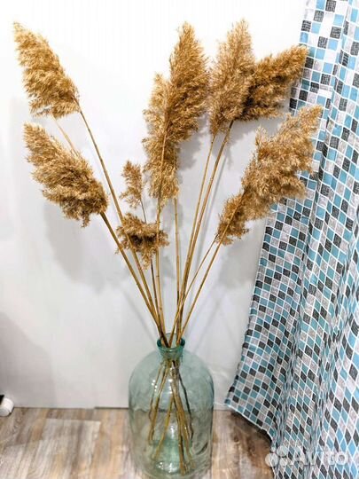 Букет из сухоцветов