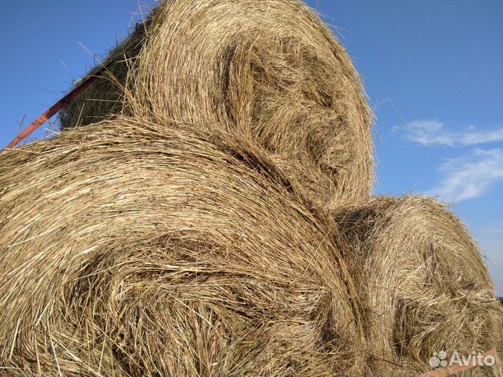 Сено луговое