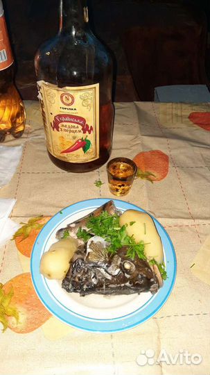 Выезд на рыбалку/природу