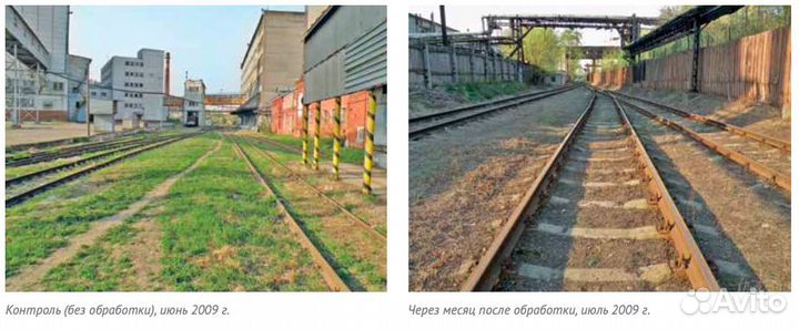 Гербицид ржд