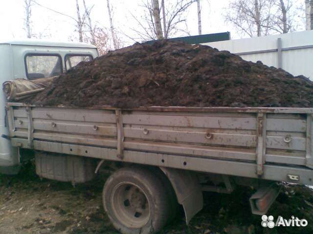 Навоз перегной