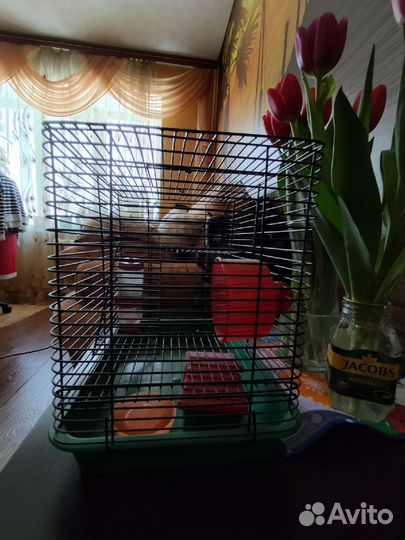 Клетка для хомяка