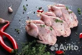 Домашняя перепела забой по заказ