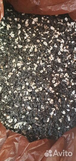 Чёрный грунт