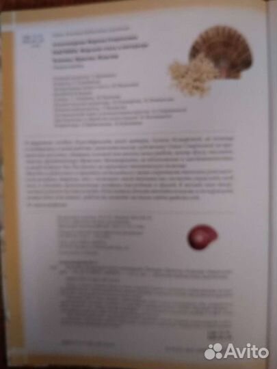 Книга.Ракушки морской стиль в интерьере