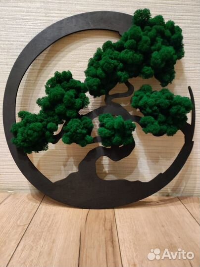 Панно, картина, декор, фитостена с мхом