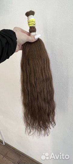 Срез одноголовый