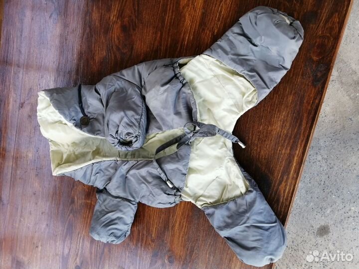 Одежда для собак