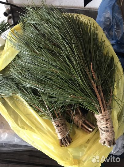 Веники пихтовые кедровые для бани запарки, матрас
