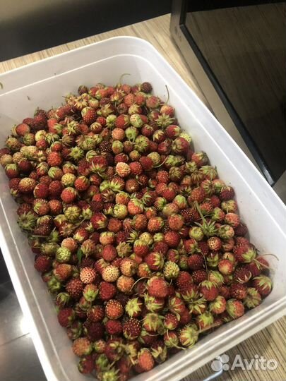 Крупная земляника