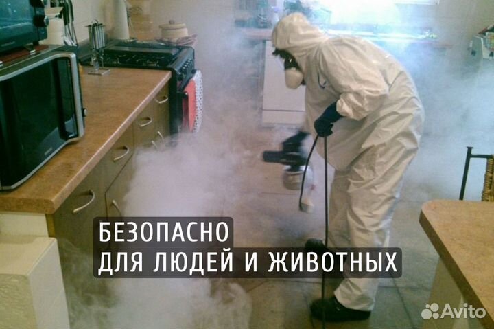 Уничтожение клопов, травля тараканов, дезинфекция