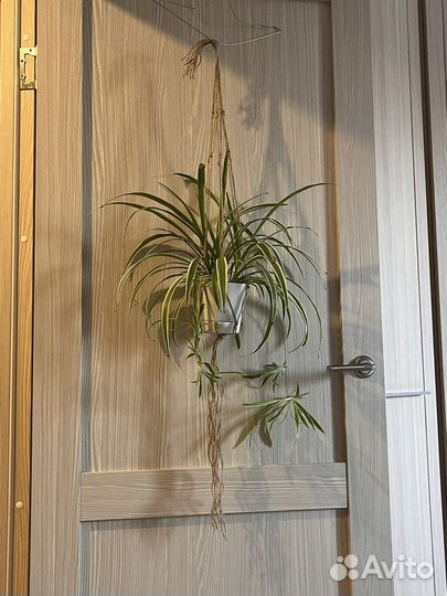 Плетеное кашпо