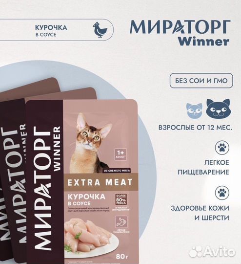 Корм для кошек влажный