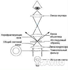 Темнопольные фильтры для микроскопа