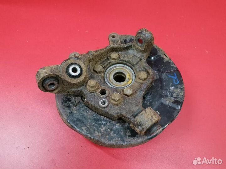 Цапфа задняя правая Infiniti Fx35 S50 VQ35DE 2003