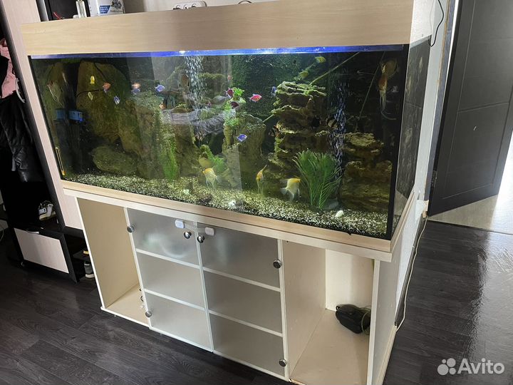 Аквариум
