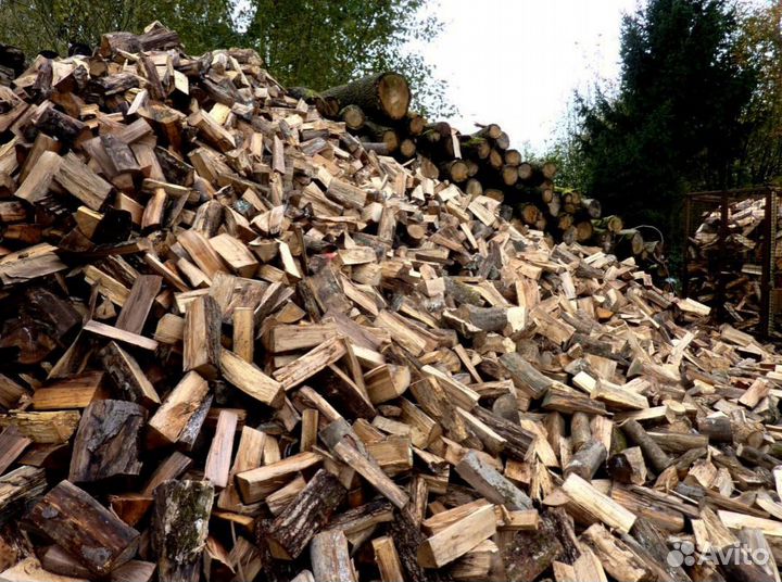 Дрова Осиновые