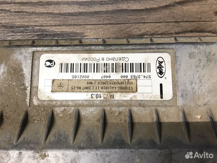 Мозги эбу Заз Сенс