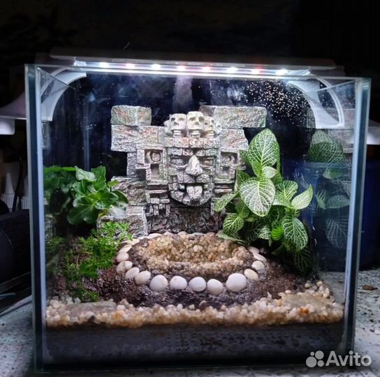 Оформление аквариумов/палюдариумов/флорариумов