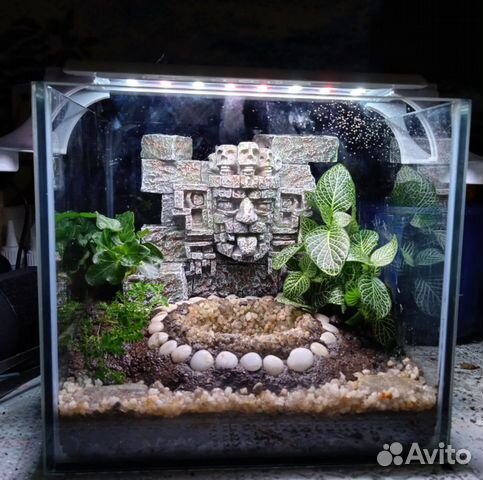 Оформление аквариумов/палюдариумов/флорариумов