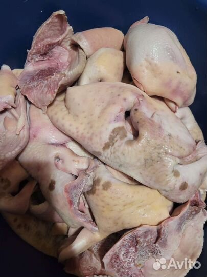 Мясо Корм для собак