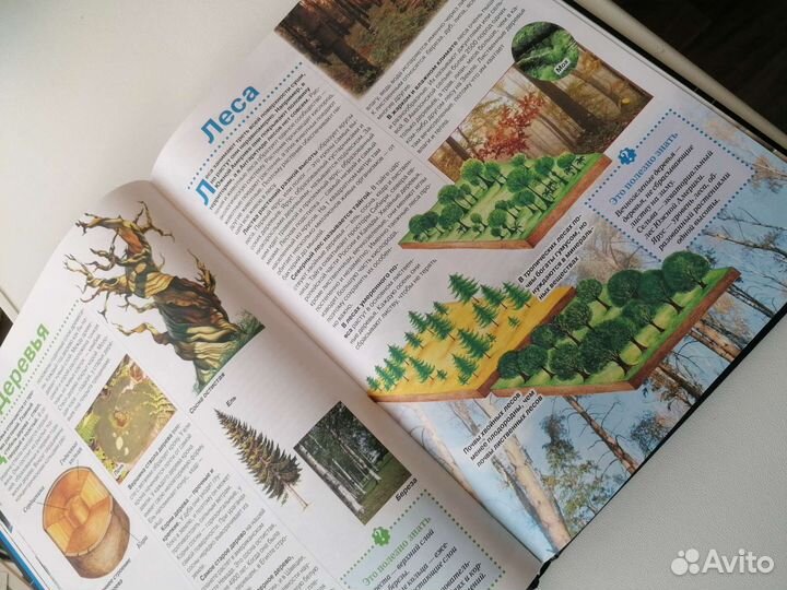 Книги для детей энциклопедия