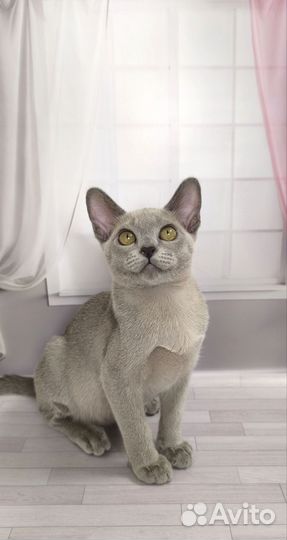 Мальчик с потрясающим характером